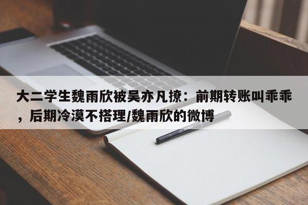 大二学生魏雨欣被吴亦凡撩：前期转账叫乖乖，后期冷漠不搭理/魏雨欣的微博