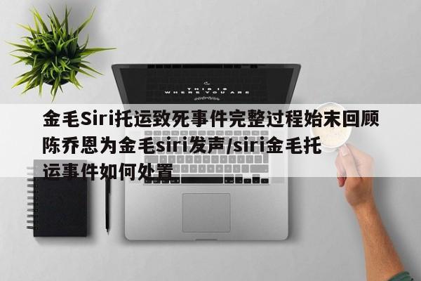 金毛Siri托运致死事件完整过程始末回顾陈乔恩为金毛siri发声/siri金毛托运事件如何处置