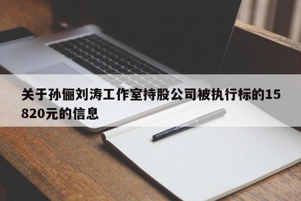 关于孙俪刘涛工作室持股公司被执行标的15820元的信息