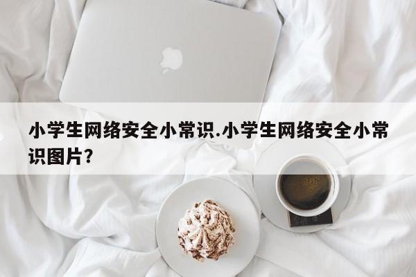 小学生网络安全小常识.小学生网络安全小常识图片？