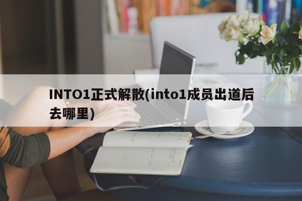 INTO1正式解散(into1成员出道后去哪里)