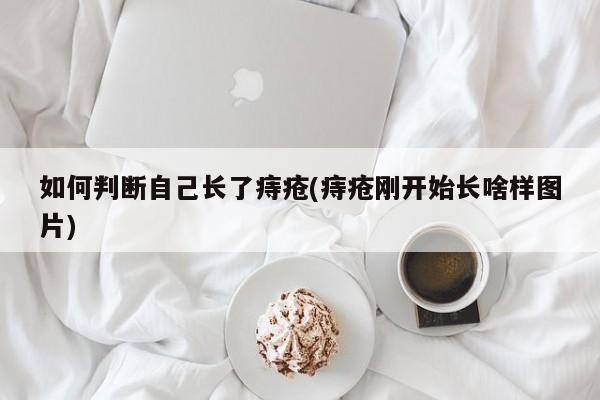 如何判断自己长了痔疮(痔疮刚开始长啥样图片)