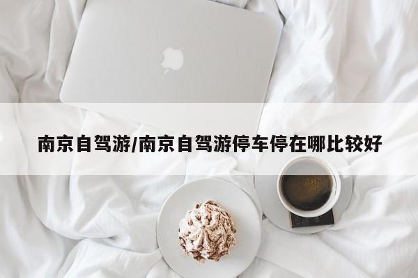 南京自驾游/南京自驾游停车停在哪比较好