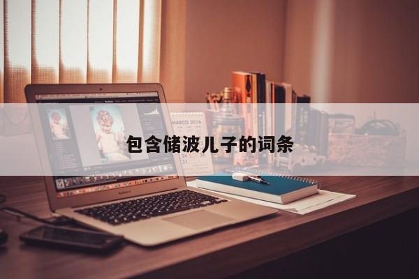 包含储波儿子的词条
