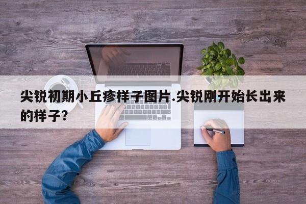 尖锐初期小丘疹样子图片.尖锐刚开始长出来的样子？