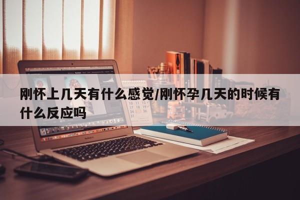 刚怀上几天有什么感觉/刚怀孕几天的时候有什么反应吗