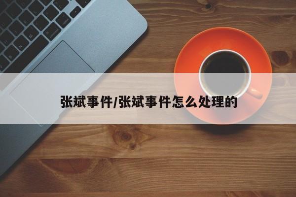 张斌事件/张斌事件怎么处理的
