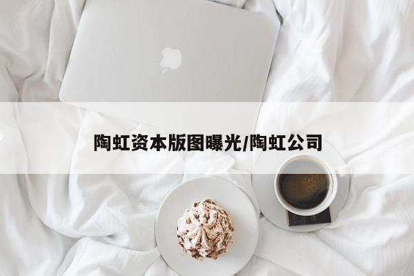 陶虹资本版图曝光/陶虹公司