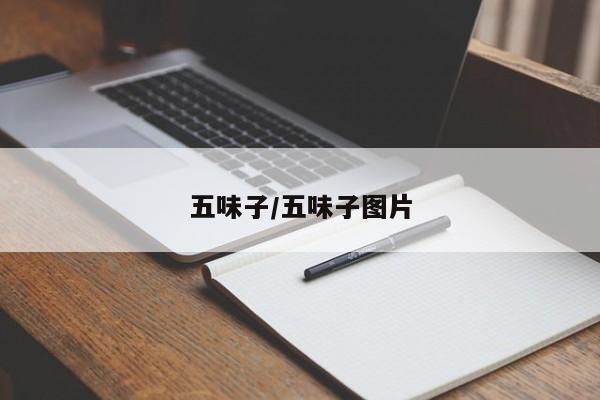 五味子/五味子图片