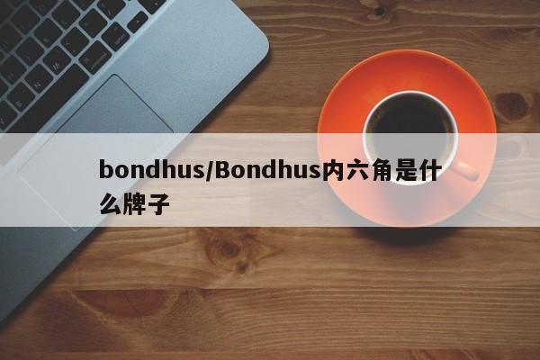 bondhus/Bondhus内六角是什么牌子